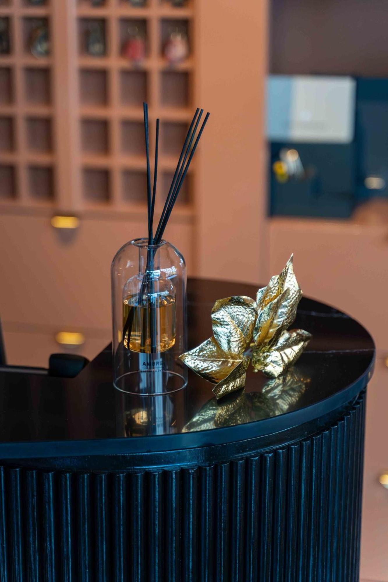 Hotel Et Restaurant Le Regina Le Puy-en-Velay Kültér fotó